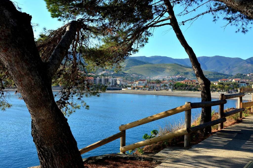 Maison Roof-Top Plage & Village 5 Min A Pied Banyuls-sur-Mer Exterior foto